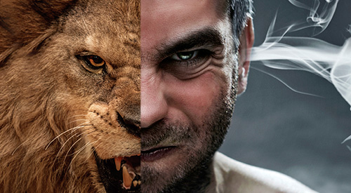 A face collage combing half face of a lion and an angry man.