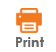 Image of Print Button icon